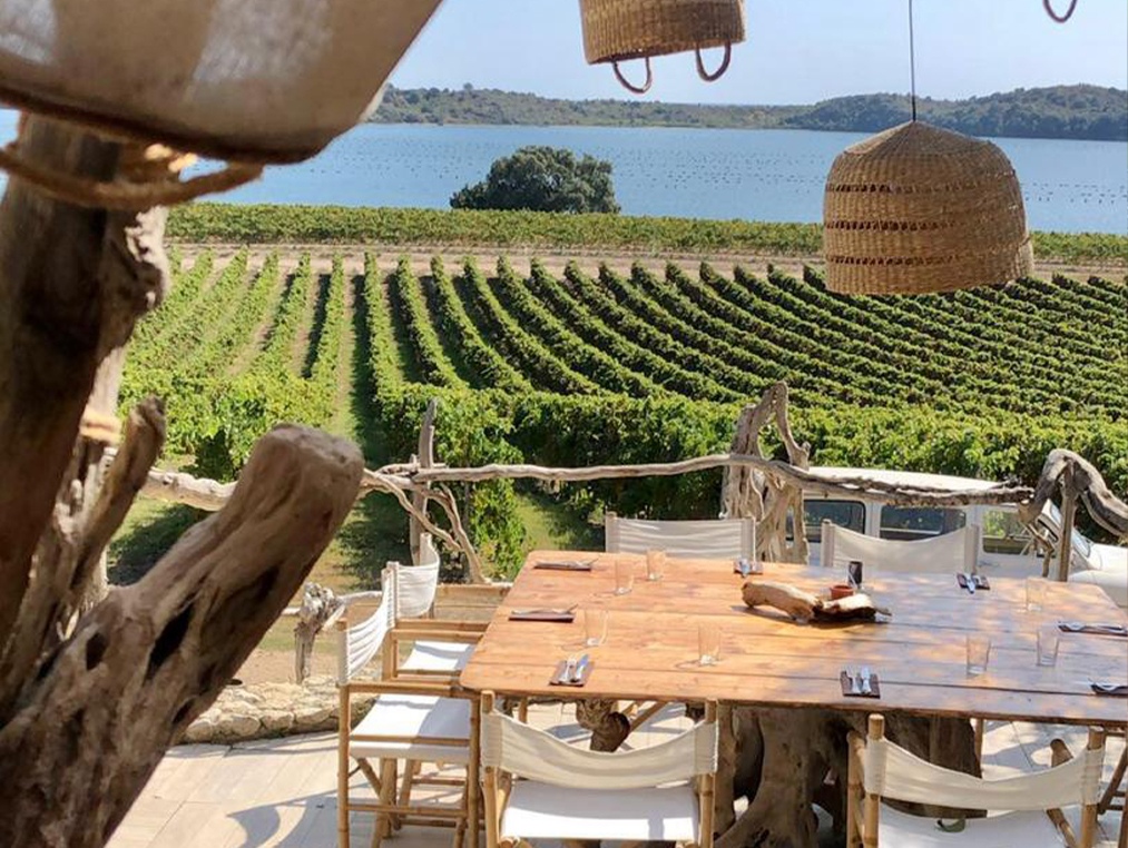 Vue vignoble