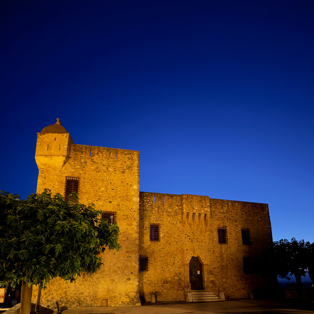 Pourquoi visiter Aléria plutôt qu'une autre destination en Corse ?